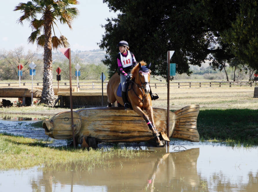 Gail Brackett & Tiger at water jump