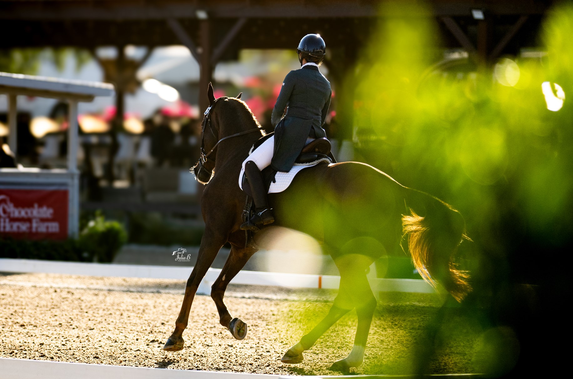 PACIFIC COAST DRESSAGE