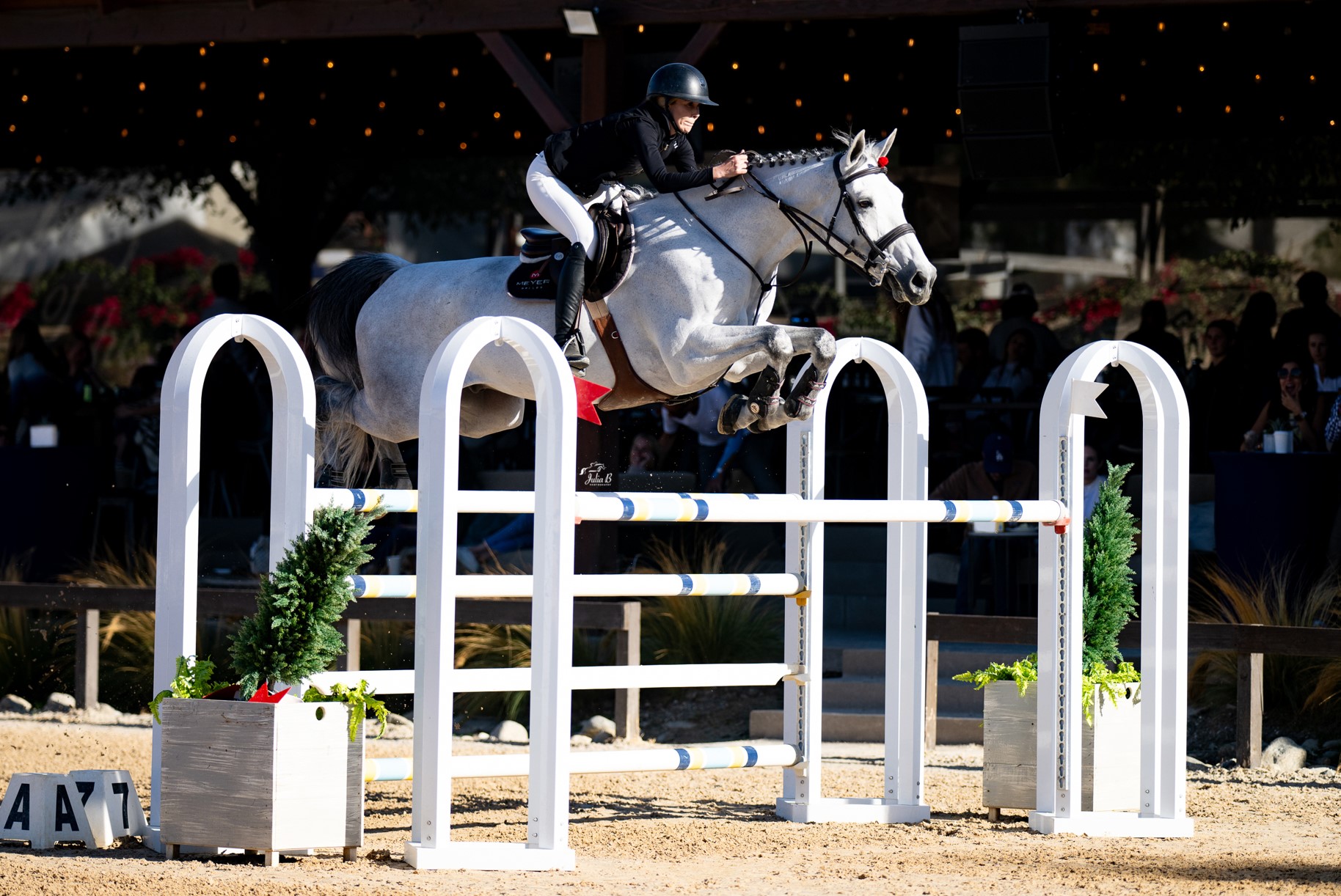 NILFORUSHAN EQUISPORT EVENTS