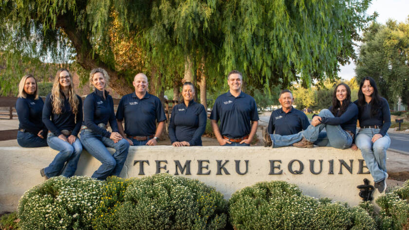 Temeku Equine Staff