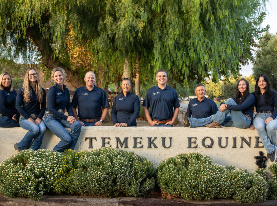 Temeku Equine Staff