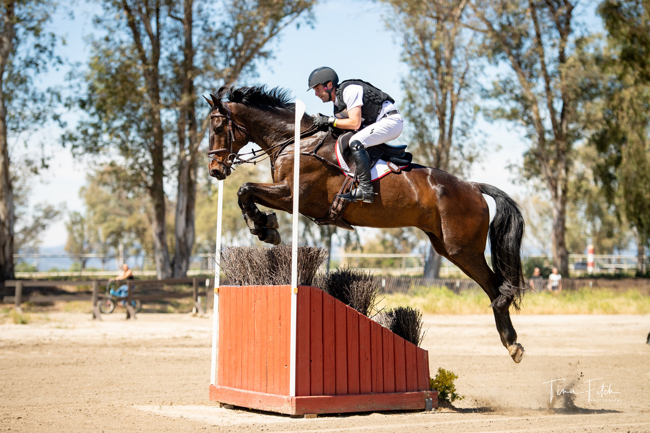Tommy Greengard and Balladeer Kilbrickens Lad. Tina Fitch Photo