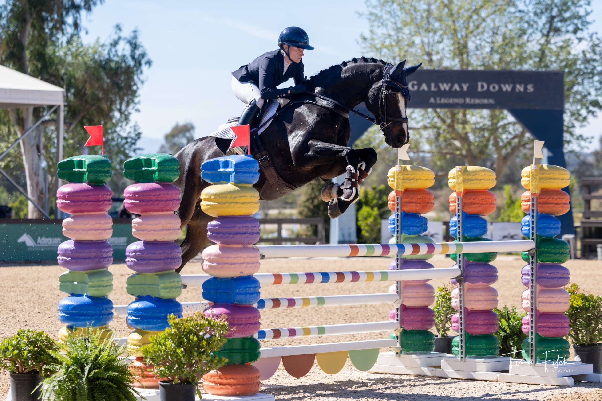 Eventing Championships at Galway Downs