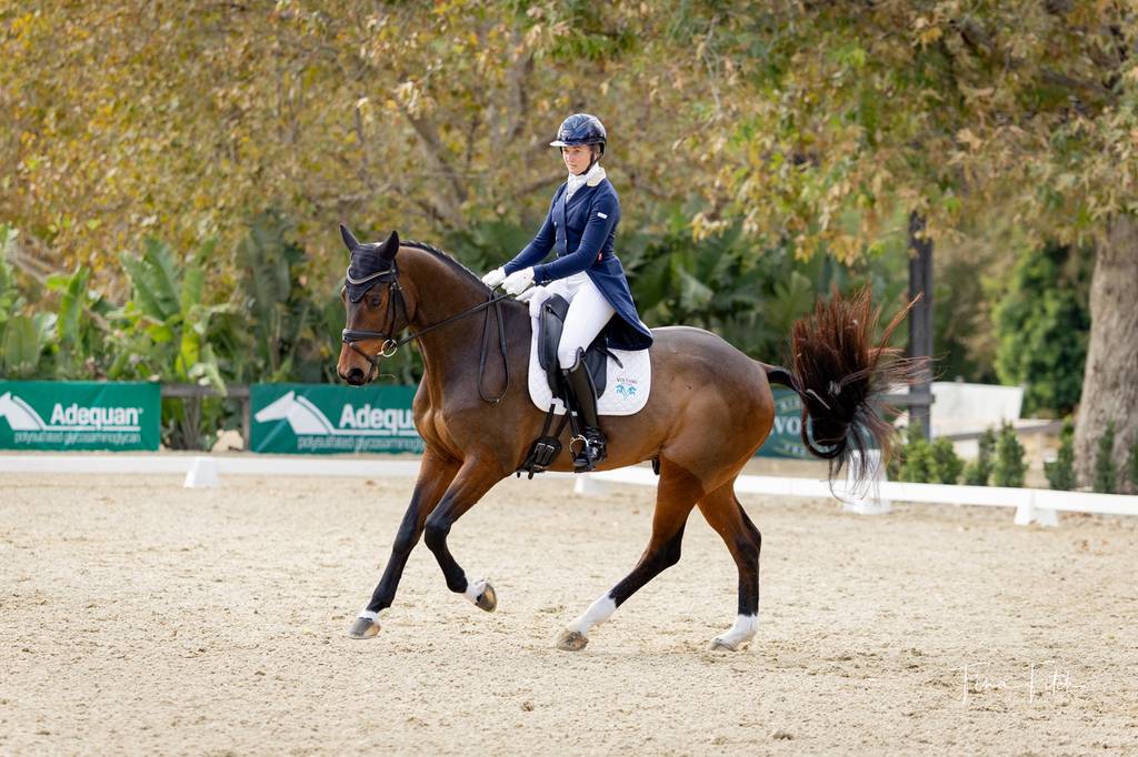 Amber Birtcil and Prince of Oolde